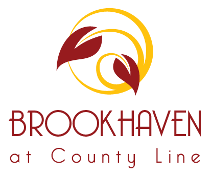 Brookhaven – Brookhaven In-Line Location